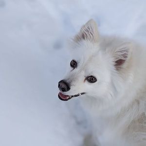 Meet your Posher, Katherine